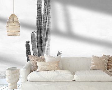Saguaro B&W by Kathrin Pienaar