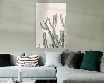 Cactus du lever du soleil sur Kathrin Pienaar