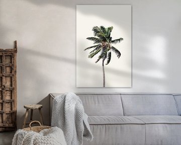 Windy Palm Tree