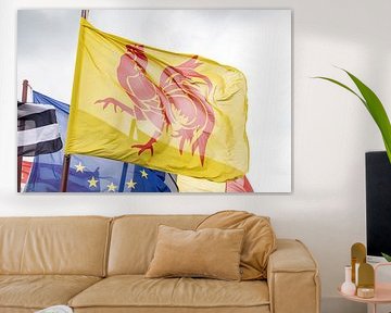 Wollonie vlag