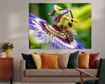 Bij op een passiebloem van Daniëlle Langelaar Photography