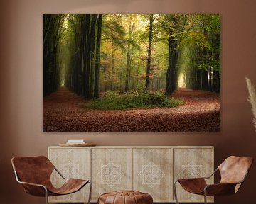 Quelle voie choisirez-vous ......... ? sur Moetwil en van Dijk - Fotografie