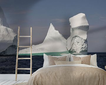 IJsberg voor de kust van Twillingate Newfoundland