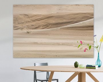 Sand landscape