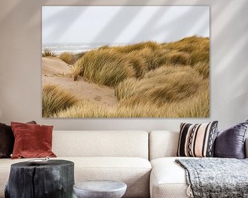 Dunes by Anna Thiessen