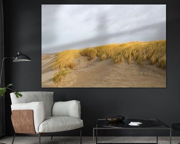 Dune view by Anna Thiessen
