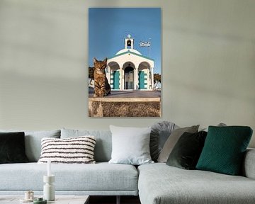 Les chats des Cyclades