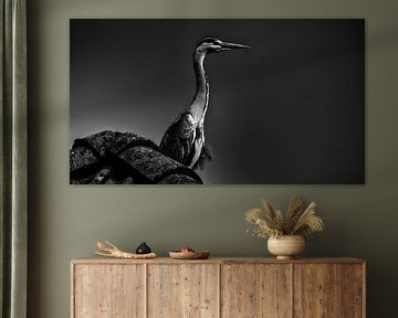 Metallic reiger