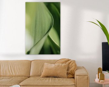 Grüne Harmonie von Marika Huisman fotografie