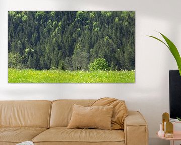 Landschap in de Alpen