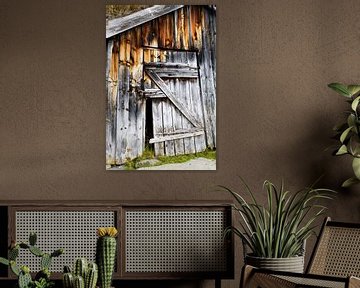 Cabane abandonnée