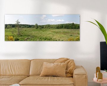 Emmels Panorama