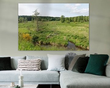 Emmels River landschap
