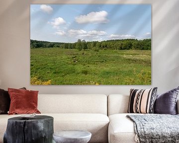 Emmels River landscape
