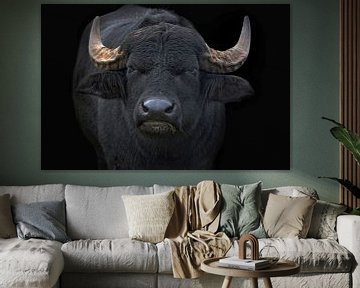 Big Bull by Joachim G. Pinkawa
