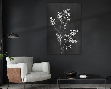 Monographie Fleurs noires sur amini54