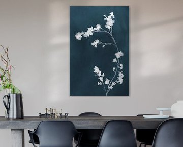 Monographie Fleurs bleues sur amini54