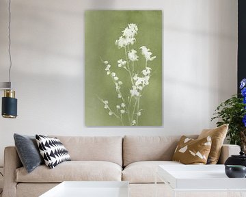 Monographie Fleurs vertes sur amini54