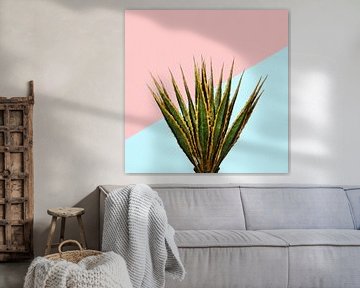 Agave 01 sur amini54