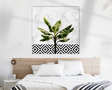 Bananenboom op geruite muur van amini54