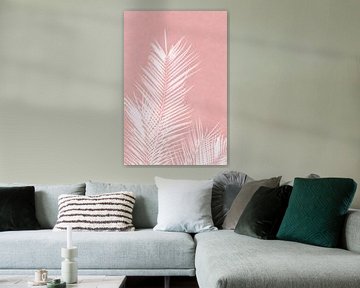 Palmbladeren op roze silhouet II van amini54
