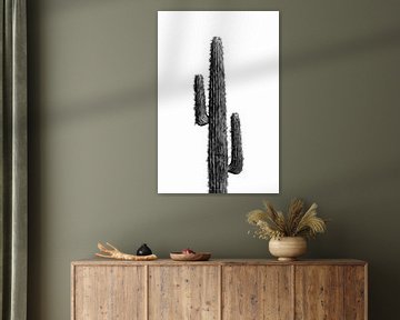 Cactus zwart-wit 01 van amini54