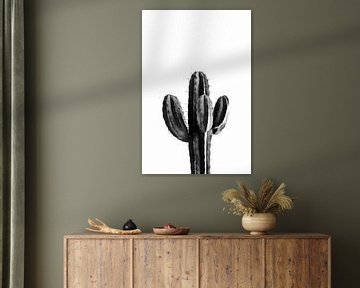 Cactus noir et blanc 03 sur amini54