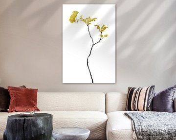 Fleur Minimale Noir et Or 01 sur amini54