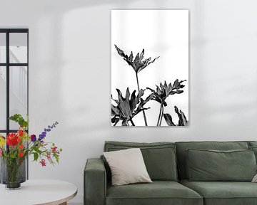 Monstera Schwarz und Weiß 08 von amini54