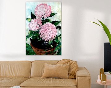 Hortensias roses en pot sur Rosana Laiz Blursbyai