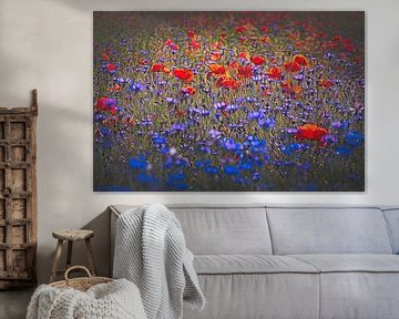 Coquelicots et bleuets sur Rob Boon
