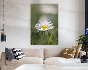 Marguerite au soleil avec des gouttes sur Patricia van Kuik
