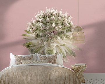 Simplicity in pink: Reflection of a Zeeland button by Marjolijn van den Berg