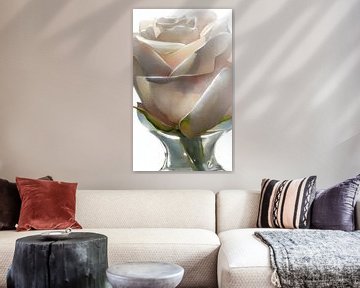 Witte roos van Ruth Day