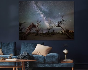 Galaxy over a dead forest by Yuhan Liao