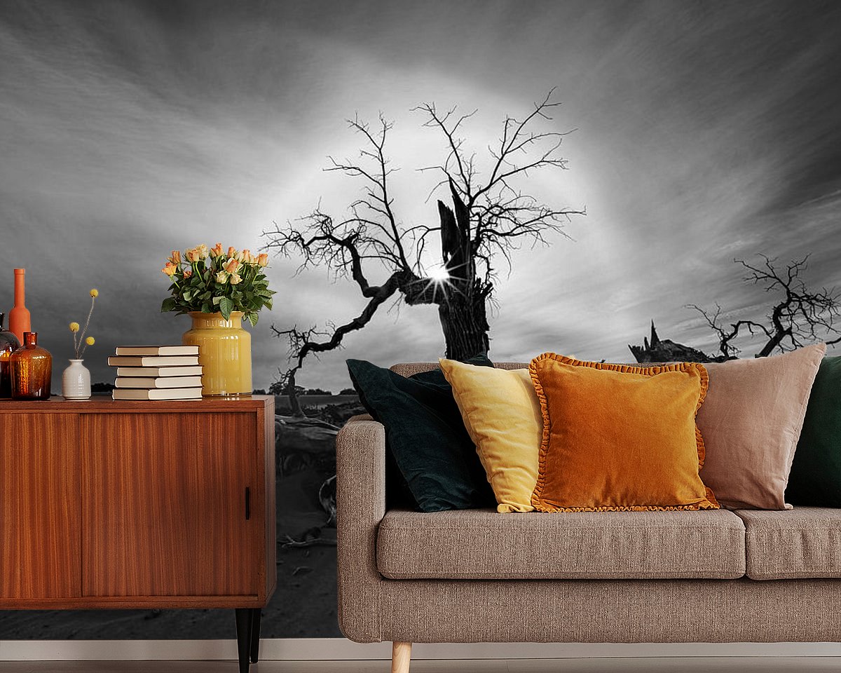 Raumvorschau