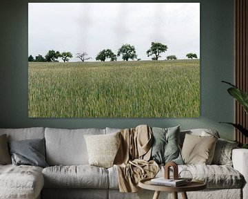 Wheat fields Luxembourg by Richard Wareham