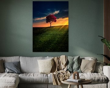 Geweldige eenzaamheid van Bess Hamiti
