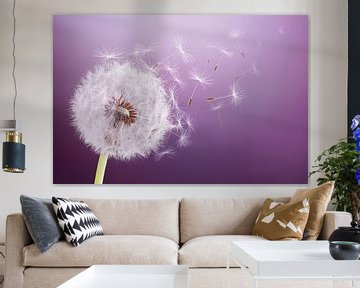 Vliegende paardenbloem van Bess Hamiti