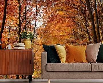 bos van Ostsee Bilder