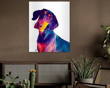 Finnischer Hund