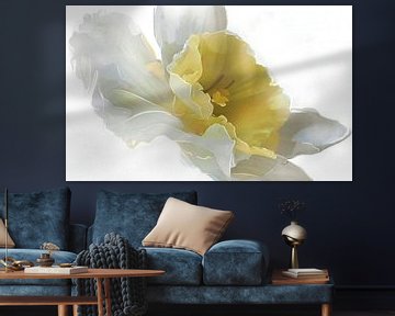 Narcis van Ruth Day