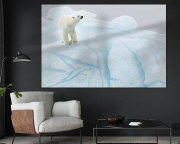 Ours polaire sur un iceberg sur Joan Gil Raga