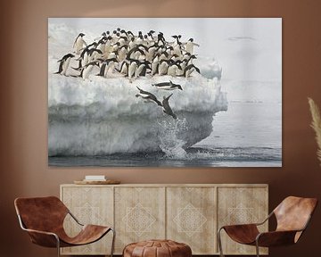 Pinguïns springen van Joan Gil Raga