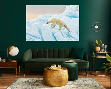 IJsbeer op Spitsbergen van Joan Gil Raga