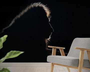 Lion silhouette by Joan Gil Raga