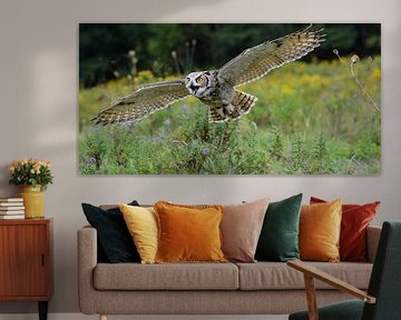 Spread Your Wings and Fly by Darlene Hewson