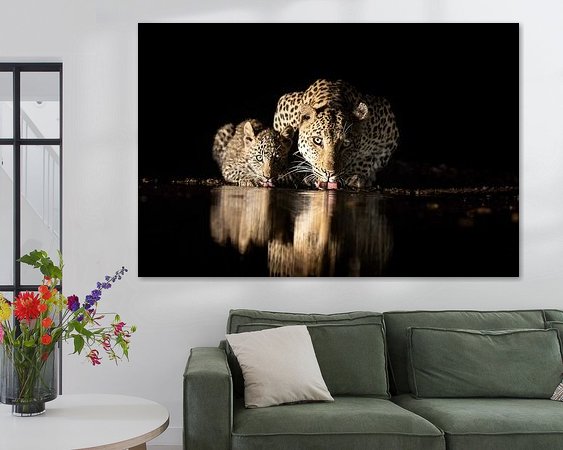 Aperçu de la chambre