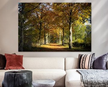 Herbstbild im Naturschutzgebiet Visdonk in Roosendaal von Fotografie Jeronimo