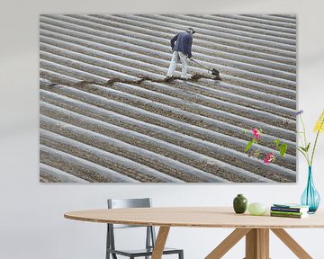 de man die diagonalen haat van Claudio Moretti